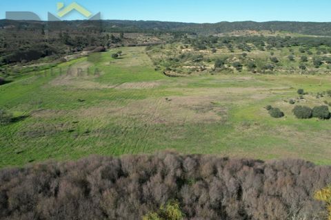 Tomt i Escalos de Baixo, Castelo Branco, Escalos de Baixo - € 190 000 | Ref: 4583 - foto 20
