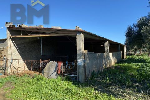 Tomt i Escalos de Baixo, Castelo Branco, Escalos de Baixo - € 190 000 | Ref: 4583 - foto 22