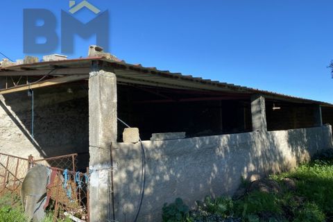 Tomt i Escalos de Baixo, Castelo Branco, Escalos de Baixo - € 190 000 | Ref: 4583 - foto 23