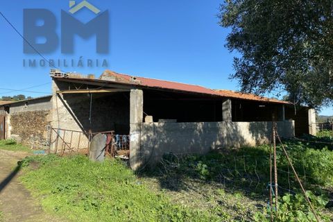 Tomt i Escalos de Baixo, Castelo Branco, Escalos de Baixo - € 190 000 | Ref: 4583 - foto 25