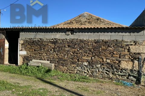 Tomt i Escalos de Baixo, Castelo Branco, Escalos de Baixo - € 190 000 | Ref: 4583 - foto 26