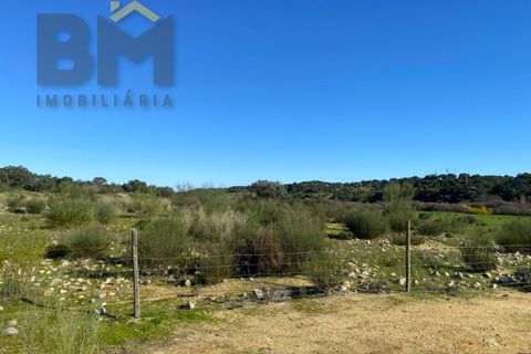 Tomt i Escalos de Baixo, Castelo Branco, Escalos de Baixo - € 190 000 | Ref: 4583 - foto 45
