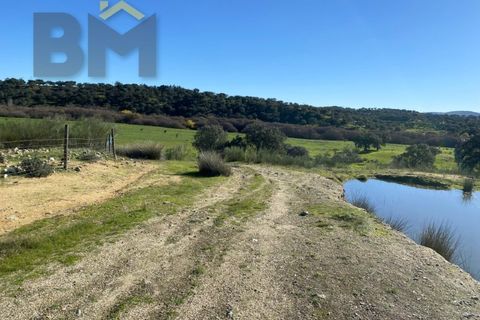 Tomt i Escalos de Baixo, Castelo Branco, Escalos de Baixo - € 190 000 | Ref: 4583 - foto 46