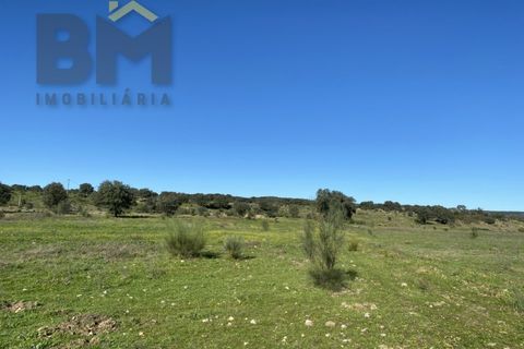 Tomt i Escalos de Baixo, Castelo Branco, Escalos de Baixo - € 190 000 | Ref: 4583 - foto 47