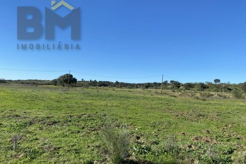Tomt i Escalos de Baixo, Castelo Branco, Escalos de Baixo - € 190 000 | Ref: 4583 - foto 48