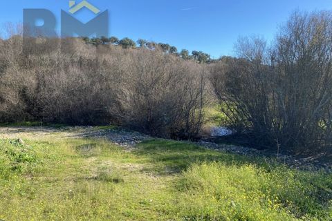 Tomt i Escalos de Baixo, Castelo Branco, Escalos de Baixo - € 190 000 | Ref: 4583 - foto 50