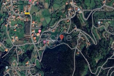 Villa i Ponte de Lima, Viana do Castelo, Ponte de Lima - € 50.000 | Ref: ZMPT566759 - foto 15