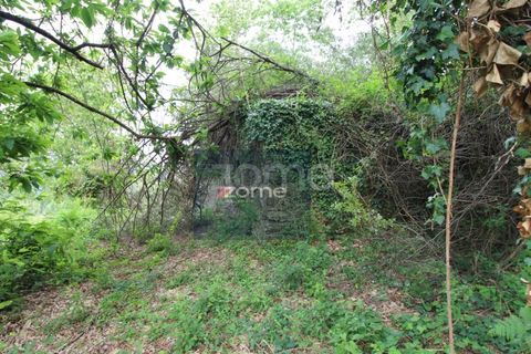 Villa i Ponte de Lima, Viana do Castelo, Ponte de Lima - € 50.000 | Ref: ZMPT566759 - foto 2