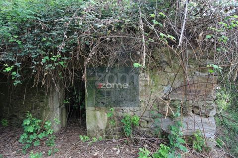 Villa i Ponte de Lima, Viana do Castelo, Ponte de Lima - € 50.000 | Ref: ZMPT566759 - foto 3