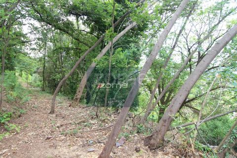 Villa i Ponte de Lima, Viana do Castelo, Ponte de Lima - € 50.000 | Ref: ZMPT566759 - foto 4