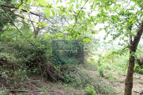 Villa i Ponte de Lima, Viana do Castelo, Ponte de Lima - € 50.000 | Ref: ZMPT566759 - foto 5