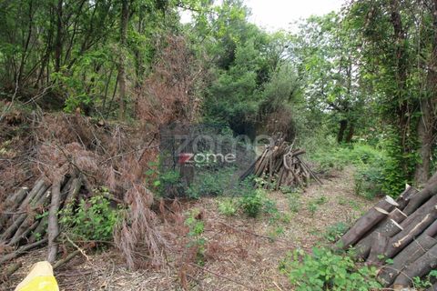 Villa i Ponte de Lima, Viana do Castelo, Ponte de Lima - € 50.000 | Ref: ZMPT566759 - foto 6