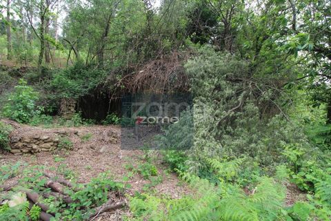 Villa i Ponte de Lima, Viana do Castelo, Ponte de Lima - € 50.000 | Ref: ZMPT566759 - foto 7