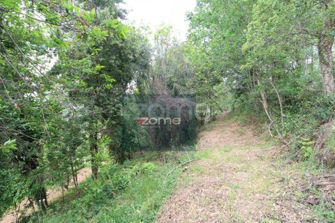 Villa i Ponte de Lima, Viana do Castelo, Ponte de Lima - € 50.000 | Ref: ZMPT566759 - foto 8