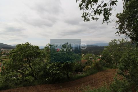 Villa i Ponte de Lima, Viana do Castelo, Ponte de Lima - € 50.000 | Ref: ZMPT566759 - foto 9