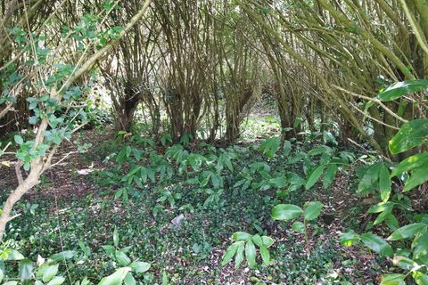 Ruïna a Horta, Faial, Horta - € 29.800 | Ref: 374230263 - foto 9