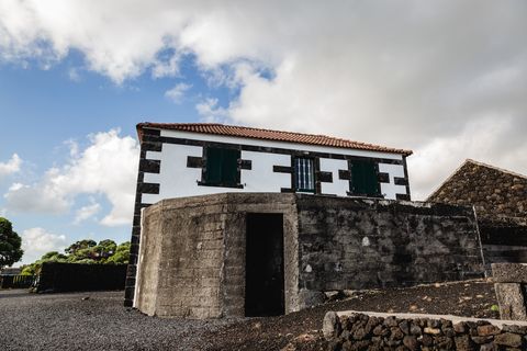 Villa a Madalena, Pico, Madalena - € 549.000 | Ref: 374230233 - foto 29