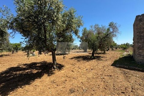 Helårsgrund i Carovigno, Brindisi, Carovigno - € 95.000 | Ref: LM10 - foto 20