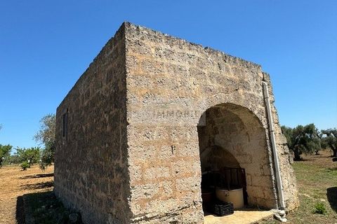 Helårsgrund i Carovigno, Brindisi, Carovigno - € 95.000 | Ref: LM10 - foto 3