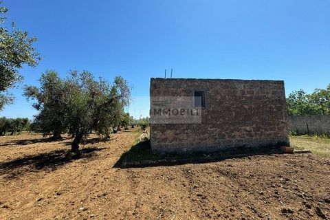 Helårsgrund i Carovigno, Brindisi, Carovigno - € 95.000 | Ref: LM10 - foto 11