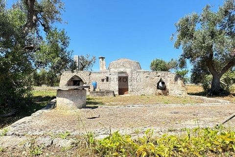 Helårsgrund i Carovigno, Brindisi, Carovigno - € 95.000 | Ref: LM10 - foto 18