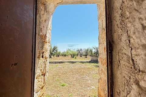 Helårsgrund i Carovigno, Brindisi, Carovigno - € 95.000 | Ref: LM10 - foto 5