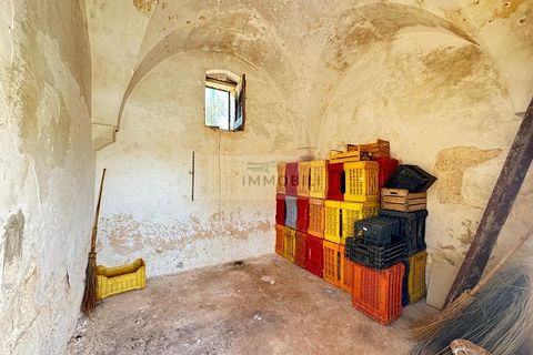 Helårsgrund i Carovigno, Brindisi, Carovigno - € 95.000 | Ref: LM10 - foto 17