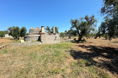 Helårsgrund i Carovigno, Brindisi, Carovigno - € 95.000 | Ref: LM10 - foto 23