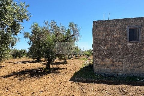 Helårsgrund i Carovigno, Brindisi, Carovigno - € 95.000 | Ref: LM10 - foto 12