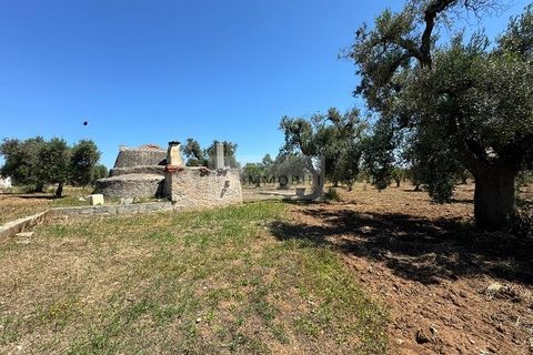 Helårsgrund i Carovigno, Brindisi, Carovigno - € 95.000 | Ref: LM10 - foto 22