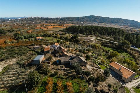 Landejendom i Covilha, Castelo Branco, Covilha - € 62.500 | Ref: 111210284 - foto 6