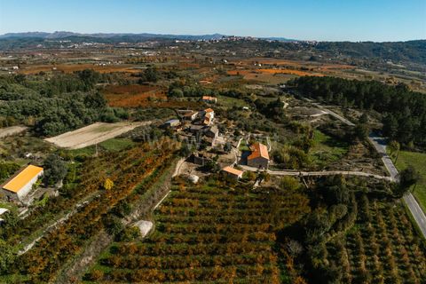 Landejendom i Covilha, Castelo Branco, Covilha - € 62.500 | Ref: 111210284 - foto 14