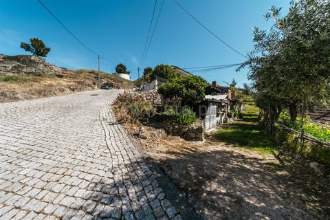 Villa i Sabugal, Guarda, Sabugal - € 20.500 | Ref: 111240064 - foto 11