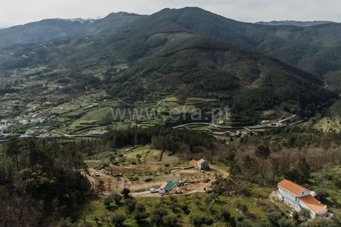 Farm i Covilha, Castelo Branco, Covilha - € 90.000 | Ref: 111240073 - foto 5