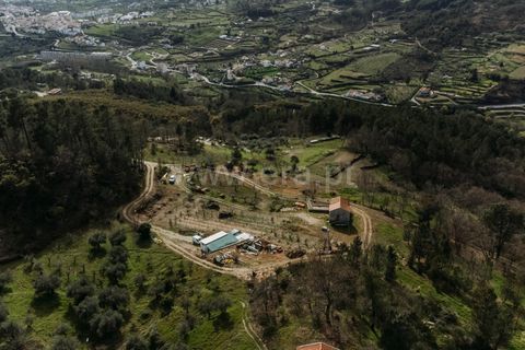 Farm i Covilha, Castelo Branco, Covilha - € 90.000 | Ref: 111240073 - foto 7