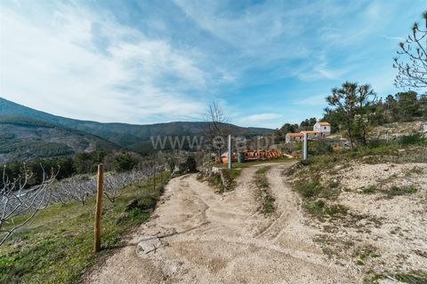 Farm i Covilha, Castelo Branco, Covilha - € 90.000 | Ref: 111240073 - foto 14