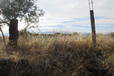 Terra a Covilha, Castelo Branco, Covilha - € 47.000 | Ref: 111220210 - foto 4