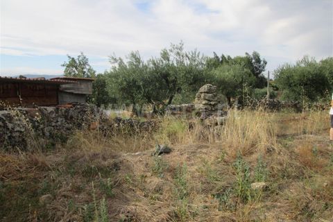 Terra a Covilha, Castelo Branco, Covilha - € 47.000 | Ref: 111220210 - foto 6