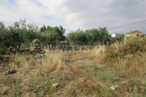 Terra a Covilha, Castelo Branco, Covilha - € 47.000 | Ref: 111220210 - foto 8