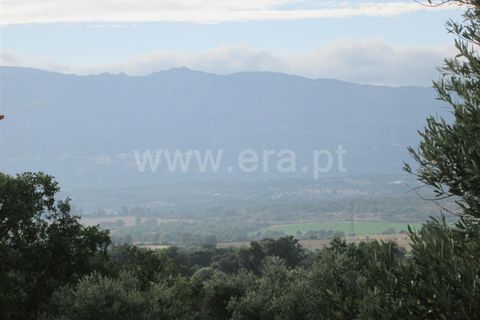 Terra a Covilha, Castelo Branco, Covilha - € 47.000 | Ref: 111220210 - foto 9