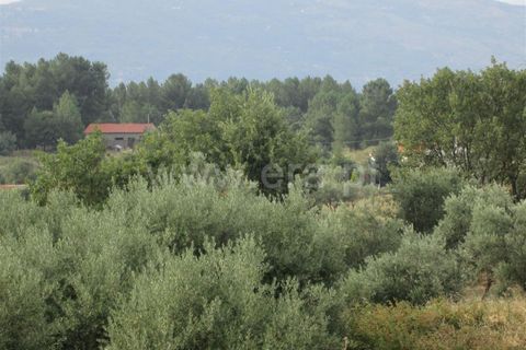 Terra a Covilha, Castelo Branco, Covilha - € 47.000 | Ref: 111220210 - foto 10