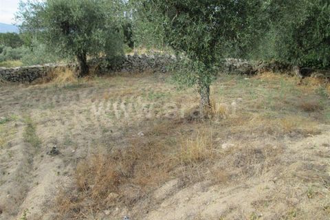 Terra a Covilha, Castelo Branco, Covilha - € 47.000 | Ref: 111220210 - foto 11