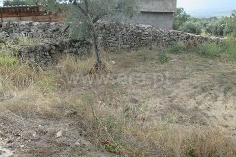 Terra a Covilha, Castelo Branco, Covilha - € 47.000 | Ref: 111220210 - foto 12