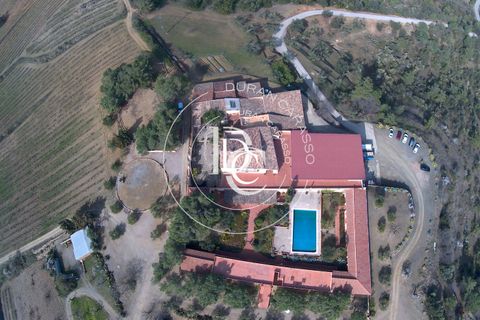 Landejendom i El Molar, Tarragona, El Molar - € 5.250.000 | Ref: 1539_ - foto 3