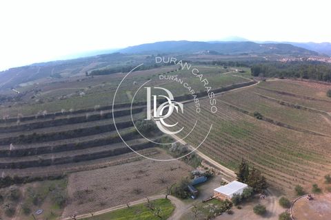 Landejendom i El Molar, Tarragona, El Molar - € 5.250.000 | Ref: 1539_ - foto 5