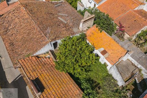 Villa i Avis, Portalegre, Avis - € 90.000 | Ref: Citage 200/24 - foto 23