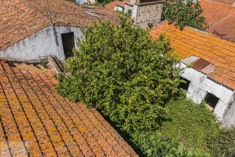 Villa i Avis, Portalegre, Avis - € 90.000 | Ref: Citage 200/24 - foto 24