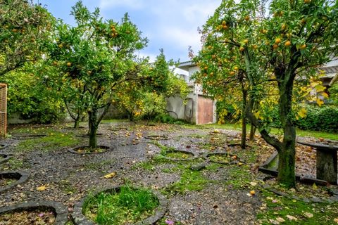 Byhus i Braga, Braga, Braga - € 699.950 | Ref: 017-2871 - foto 18