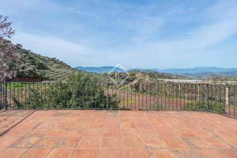 Landejendom i Malaga city, Malaga, Malaga city - € 2.200.000 | Ref: MLG50052 - foto 49