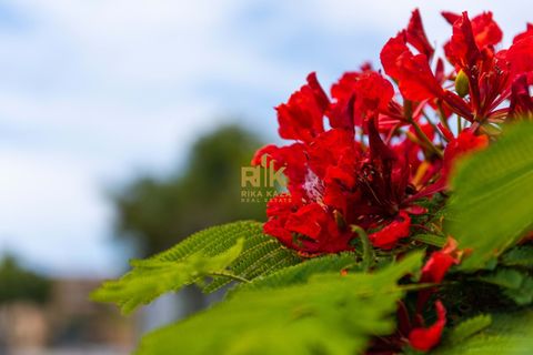 Garaje en Funchal, Madeira, Funchal - € 35.000 | Ref: RK11239 - photo 10